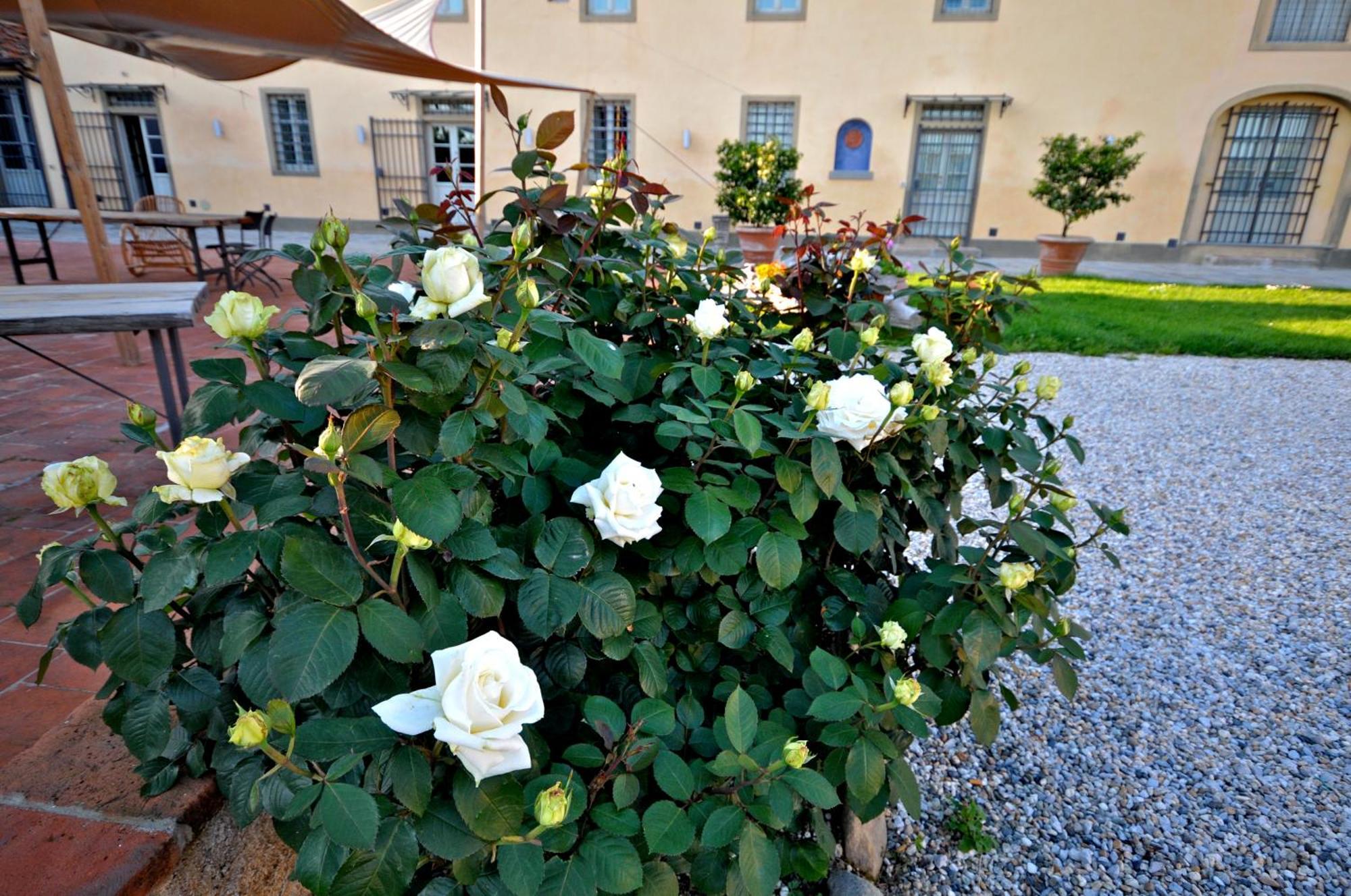 Agriturismo San Rocco Πιστόια Εξωτερικό φωτογραφία